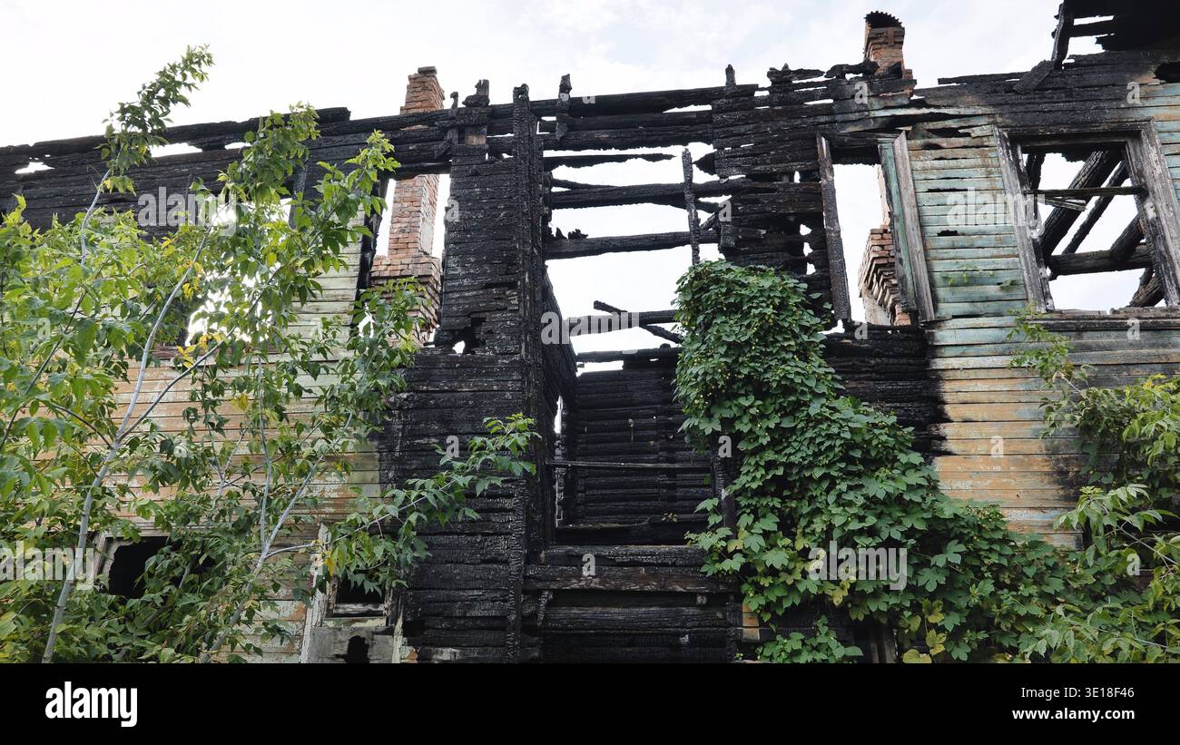 Rovine di un edificio in legno bruciato con legname carbonizzato e piante sovrastate. Foto Stock