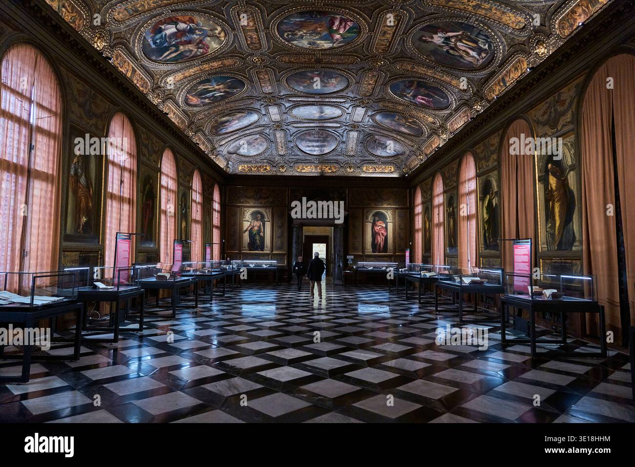 Sala del palazzo simmetrica con soffitto dipinto e lunghe file di finestre. Foto Stock