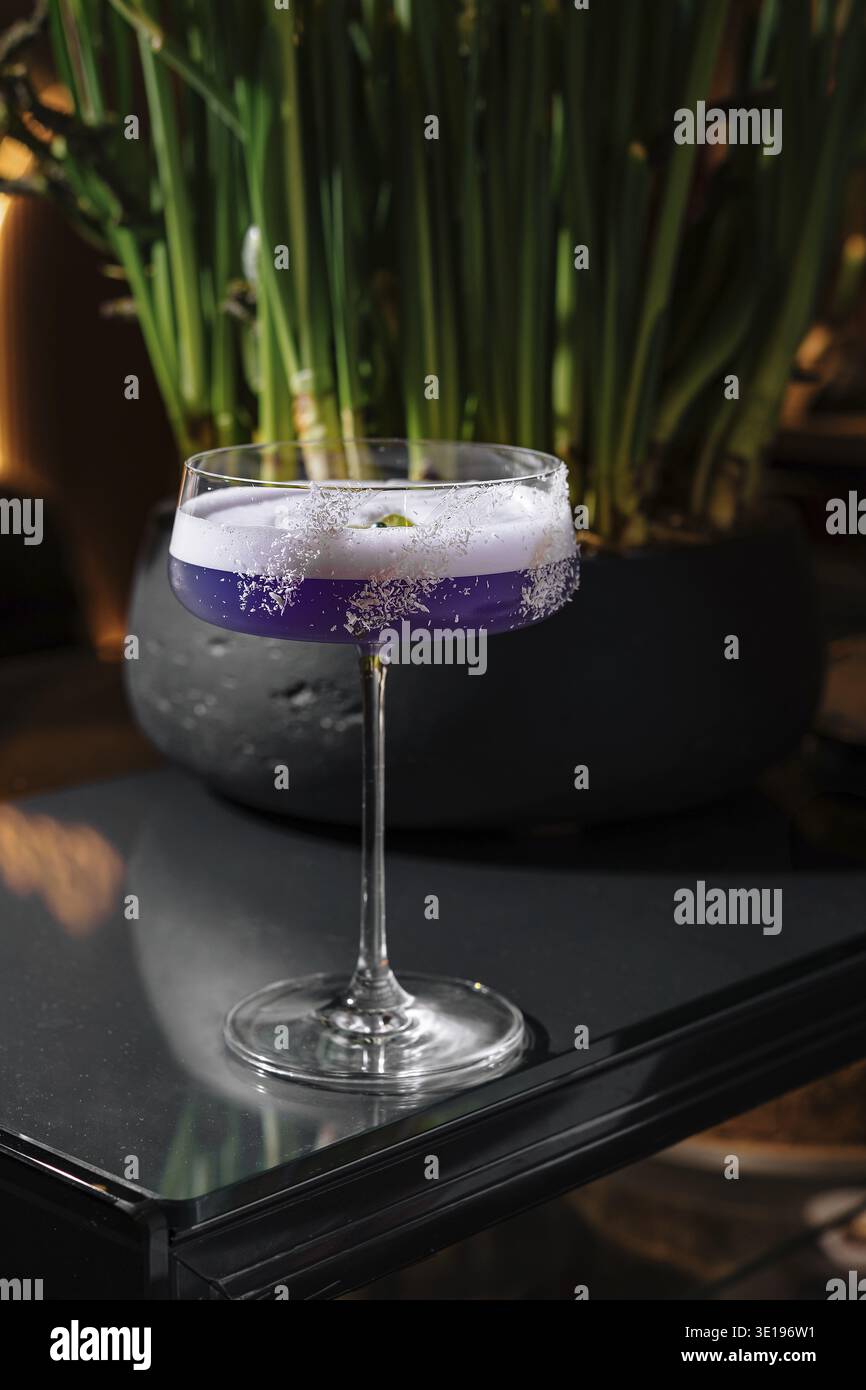 Cocktail viola con schiuma di albume d'uovo e contorno floreale in piedi su un tavolo con una pianta sullo sfondo Foto Stock