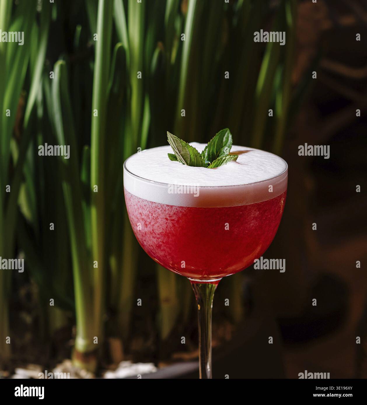 Cocktail rosso con schiuma bianca e foglie di menta, in piedi su un vassoio di legno con sfondo verde Foto Stock