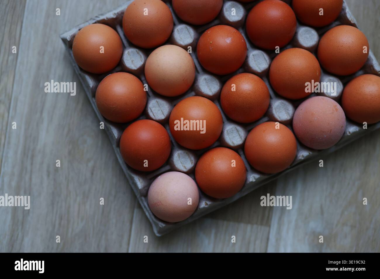 Primo piano di uova scure biologiche disposte in scatola di cartone. Cibo naturale agricolo e concetto di nutrizione sana. Foto Stock
