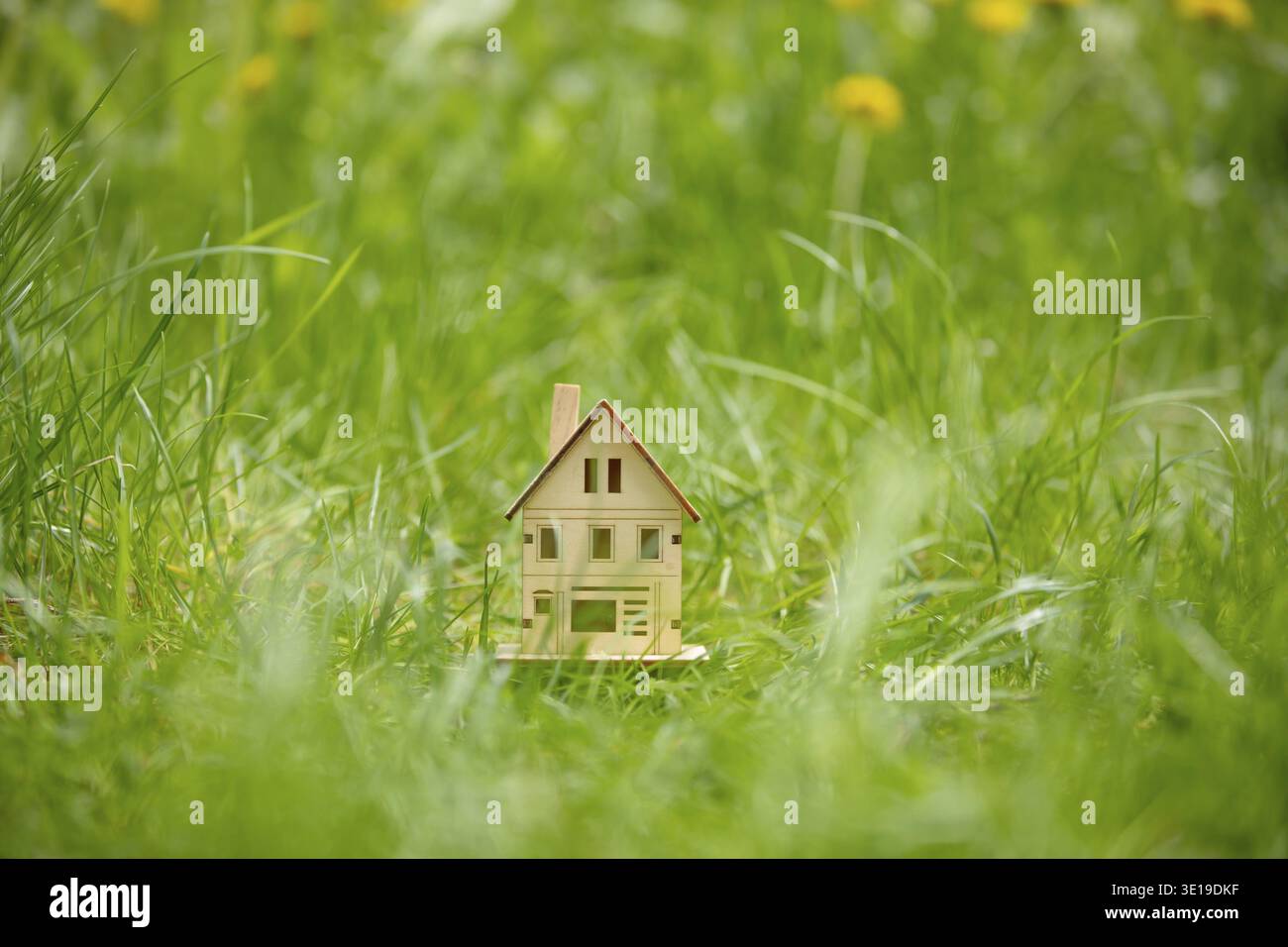 Piccola casa dei giocattoli in legno, modello del presente in verde erba primaverile con focus selettivo. costruzione di nuove case e vendita di acquisto Foto Stock