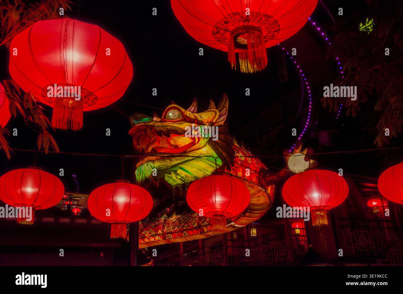Shenron Dragon Foto Stock