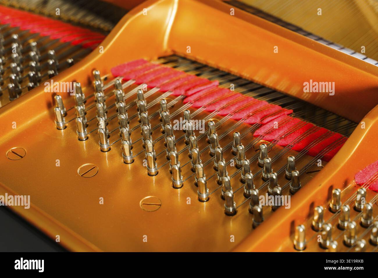 Dettagli interni del pianoforte a coda di lusso come martelli, corde e spille Foto Stock