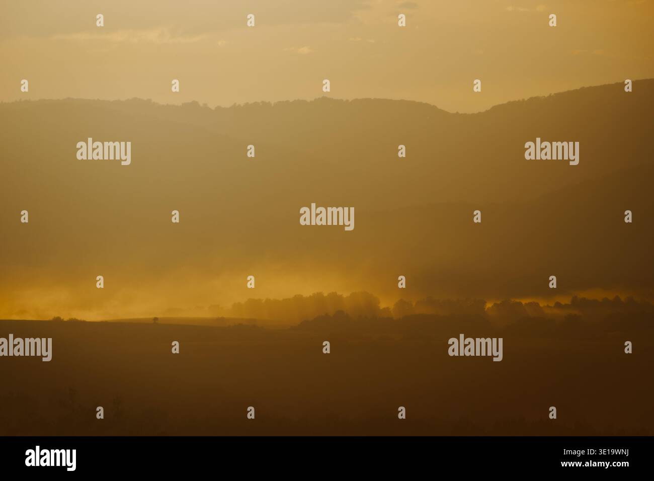 Una fitta nebbia dorata o foschia copre un paesaggio di colline e alberi sotto un cielo arancione monocromatico all'alba o al tramonto. Foto Stock