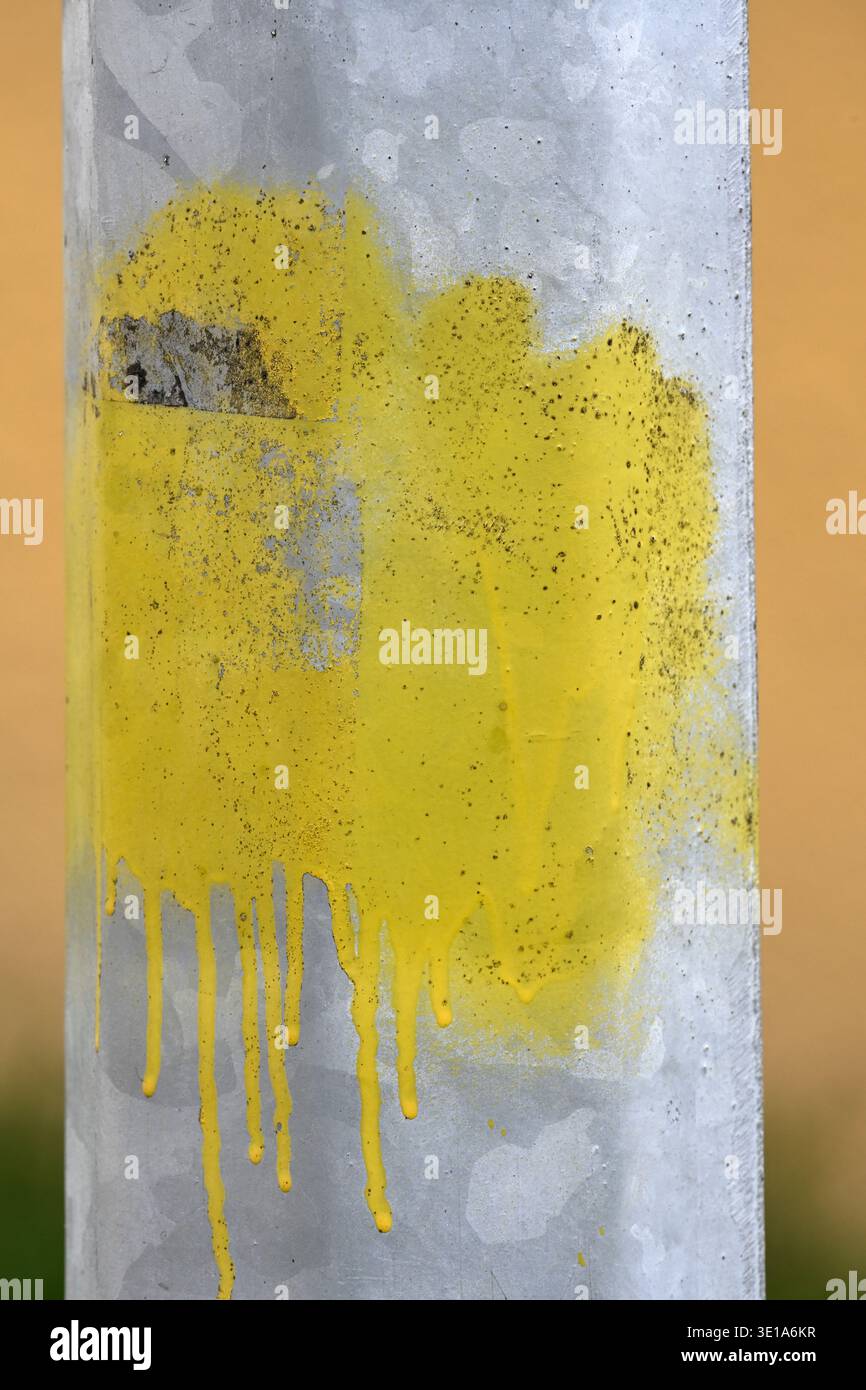 Vernice acrilica gialla brillante che gocciola su una superficie metallica argentata. Una texture astratta moderna, perfetta per il branding organico, poster di erboristeria, o Foto Stock