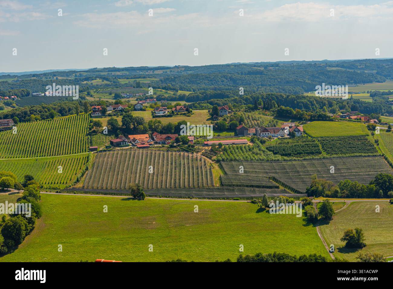 Vigneti nella regione austriaca della Stiria vicino a Riegersburg.IMMAGINE Foto Stock