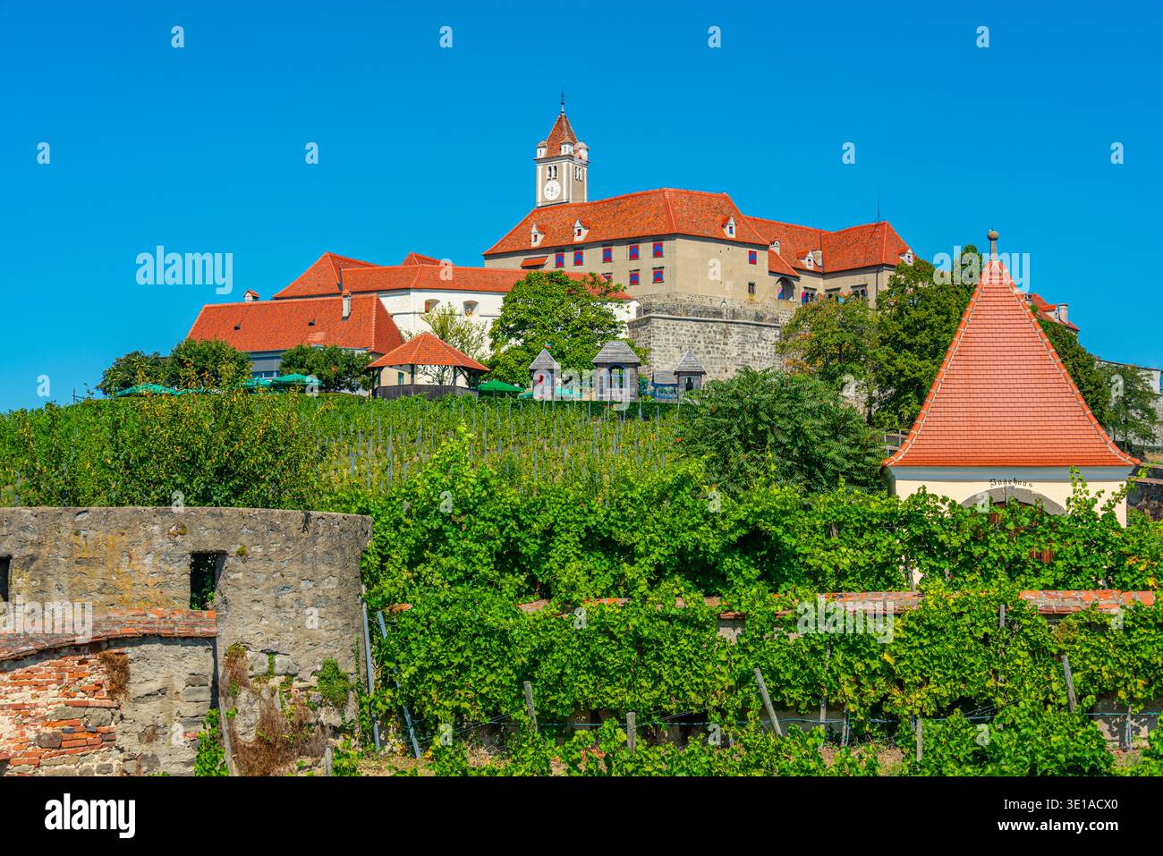 Castello di Riegersburg durante una giornata di sole in Austria. IMMAGINE Foto Stock
