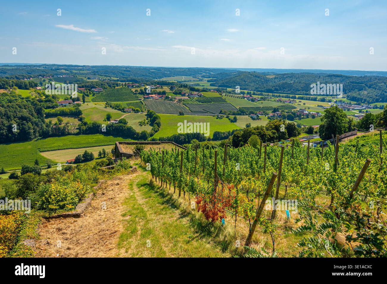 Vigneti nella regione austriaca della Stiria vicino a Riegersburg.IMMAGINE Foto Stock