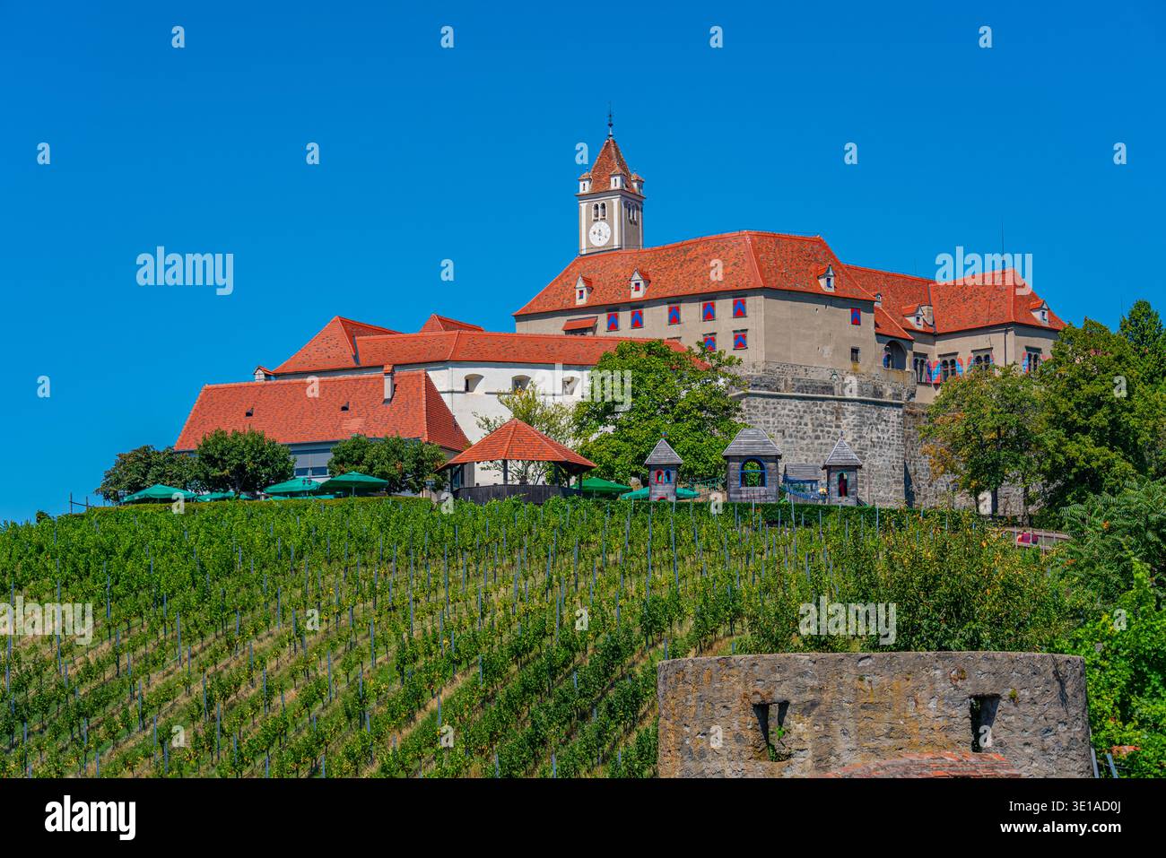 Castello di Riegersburg durante una giornata di sole in Austria. IMMAGINE Foto Stock