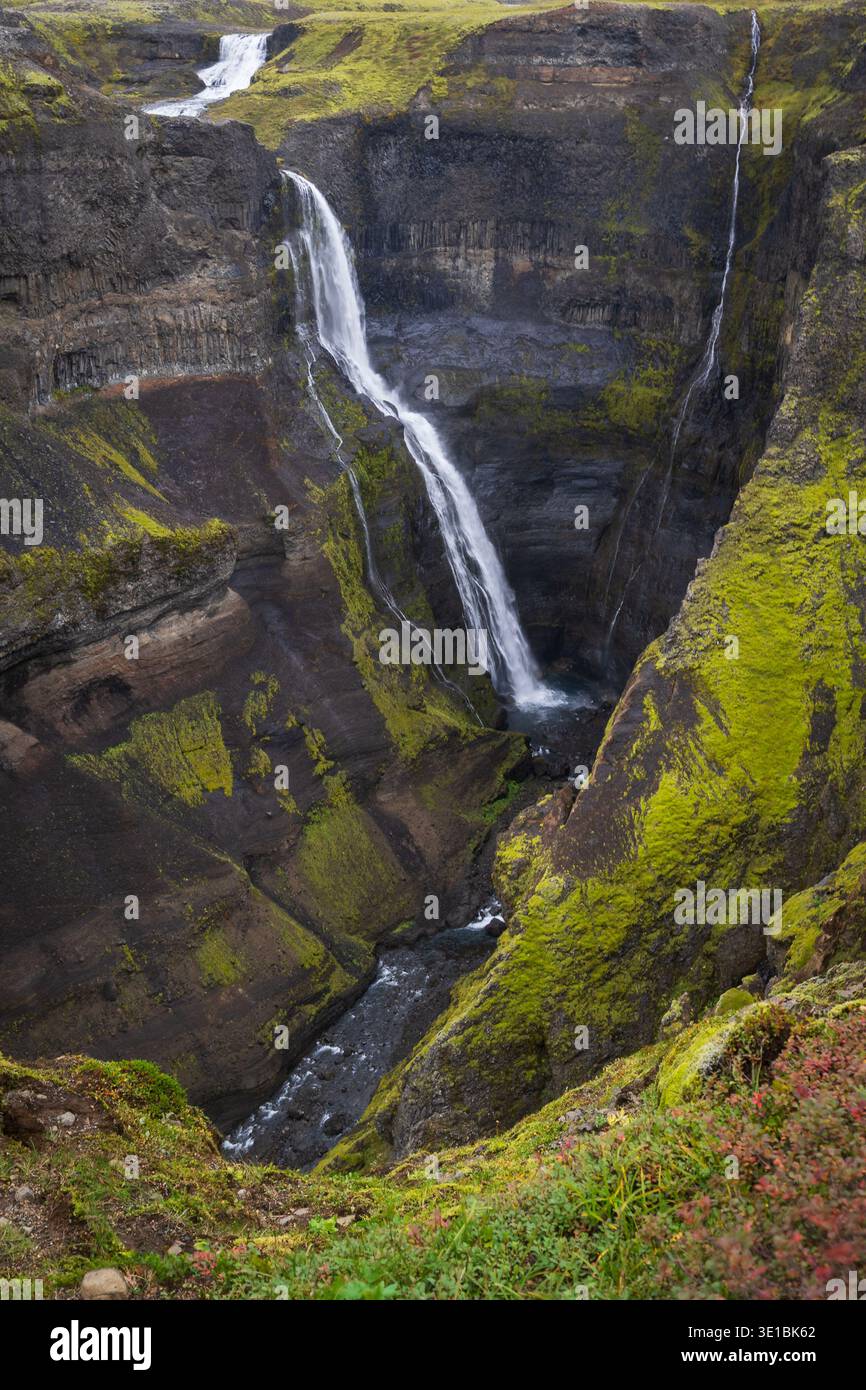 Scatto verticale di una meravigliosa cascata che cade dalle rocce vulcaniche nere, l'Islanda Foto Stock