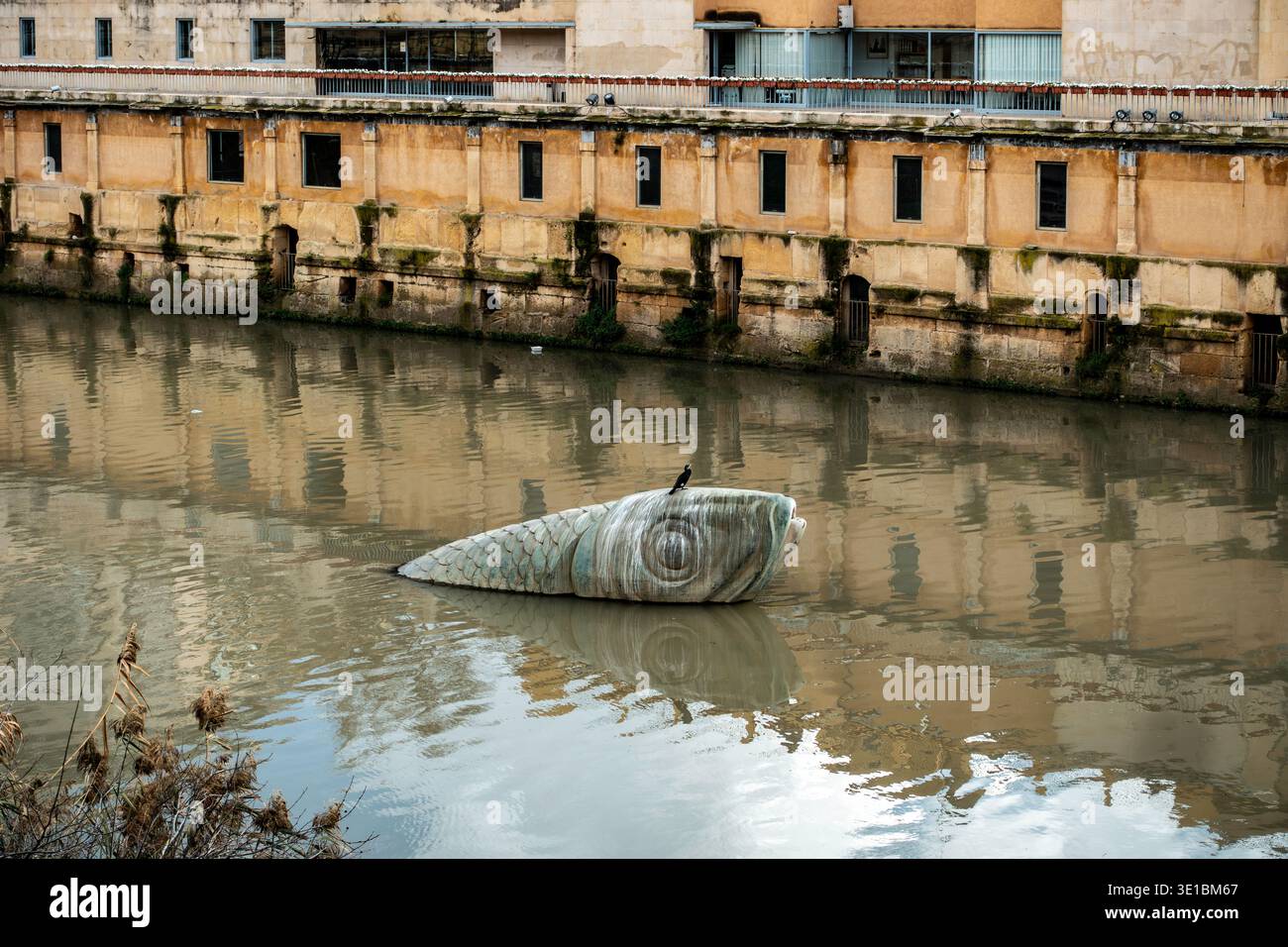 La scultura Sardine galleggiante nel fiume Segura con un uccello in cima, situata a Murcia, in Spagna, sullo sfondo di edifici storici in pietra Foto Stock