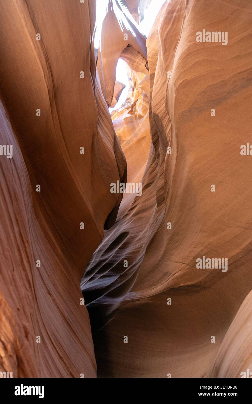 Pareti di pietra arenaria scolpite dall'acqua nell'Upper Antelope Canyon, Navajo Nation, Arizona, USA Foto Stock