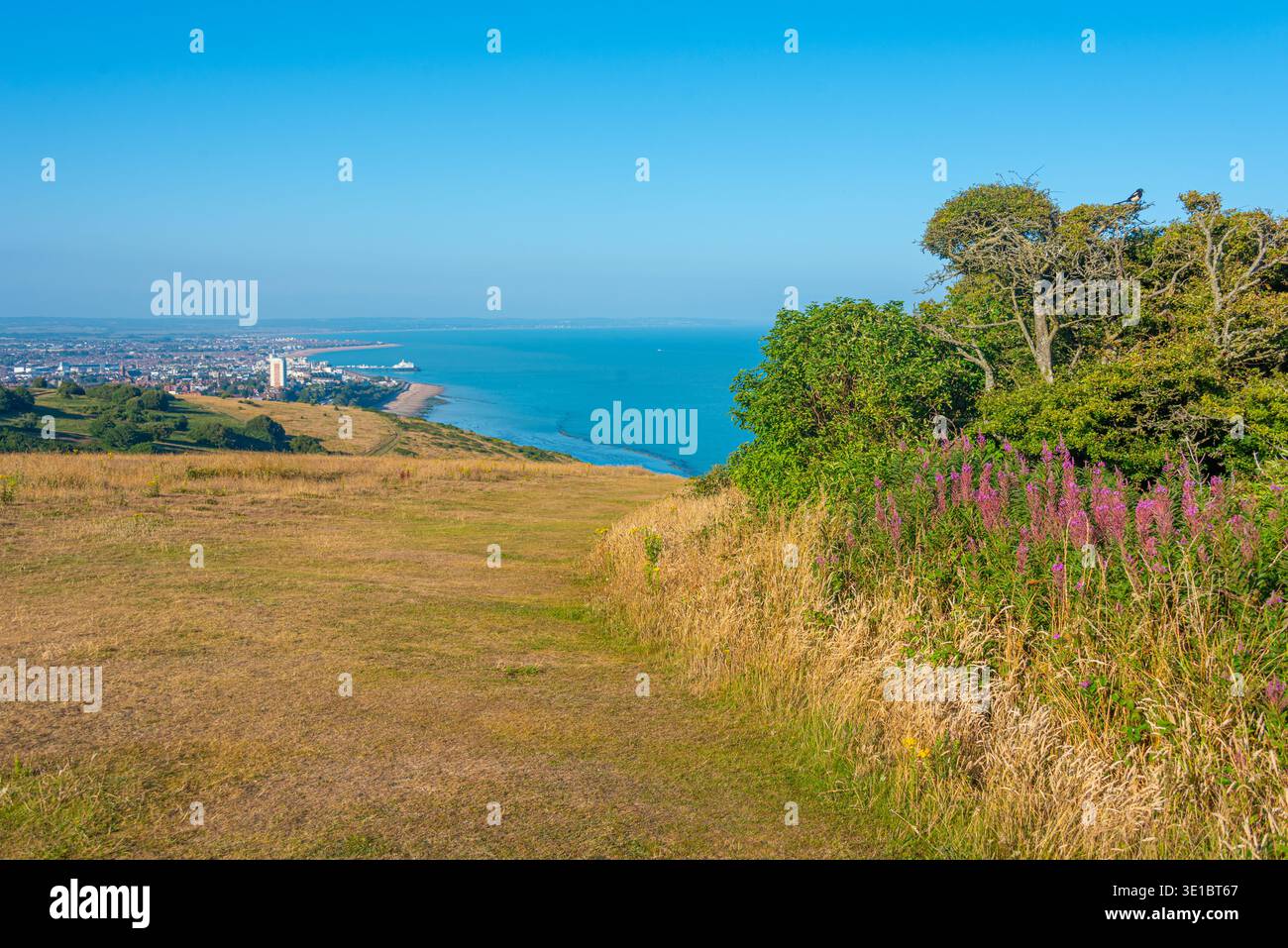 Vista panoramica di Eastbourne in Inghilterra.IMMAGINE Foto Stock