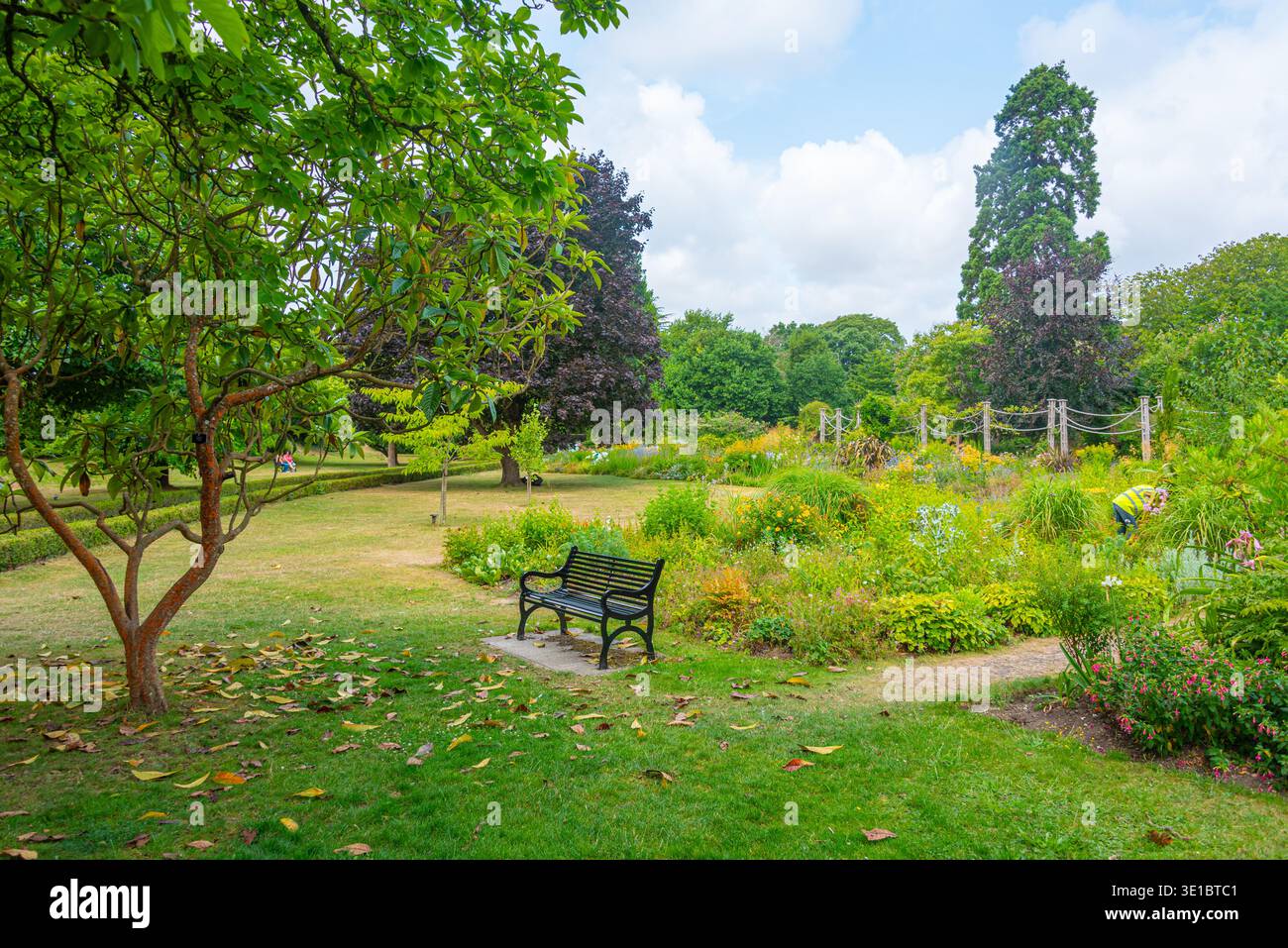 Bishop's Palace Garden a Chichester in Inghilterra.IMMAGINE Foto Stock