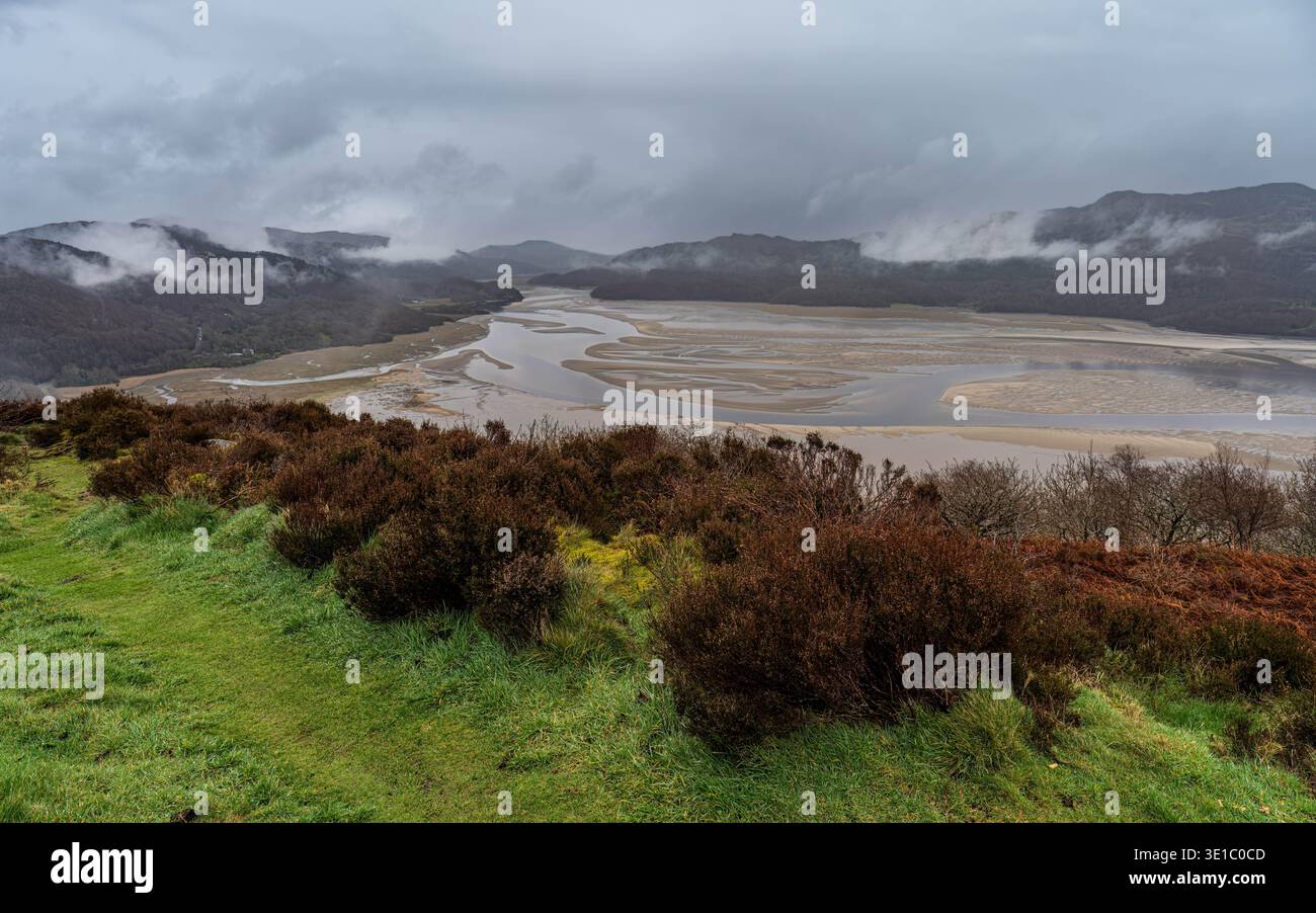Mawddach Estuary Foto Stock