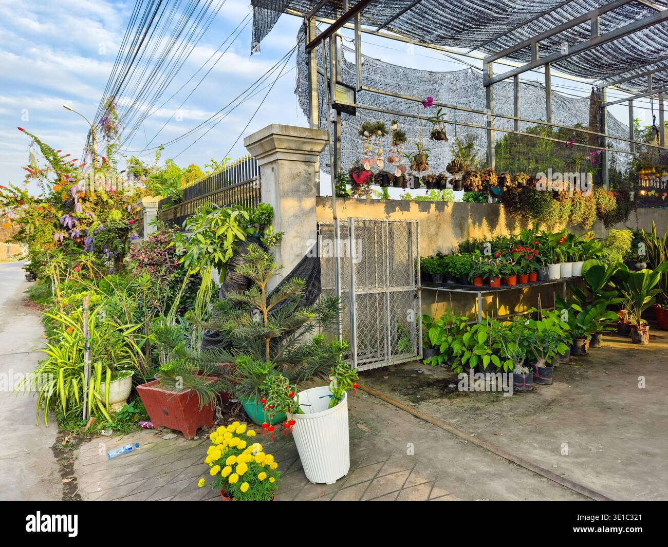 Kampong Cham, Cambogia, Asia. il vivaio espone una varietà di piante verdi, felci e fiori in vaso disposti su scaffali e a terra. Foto Stock