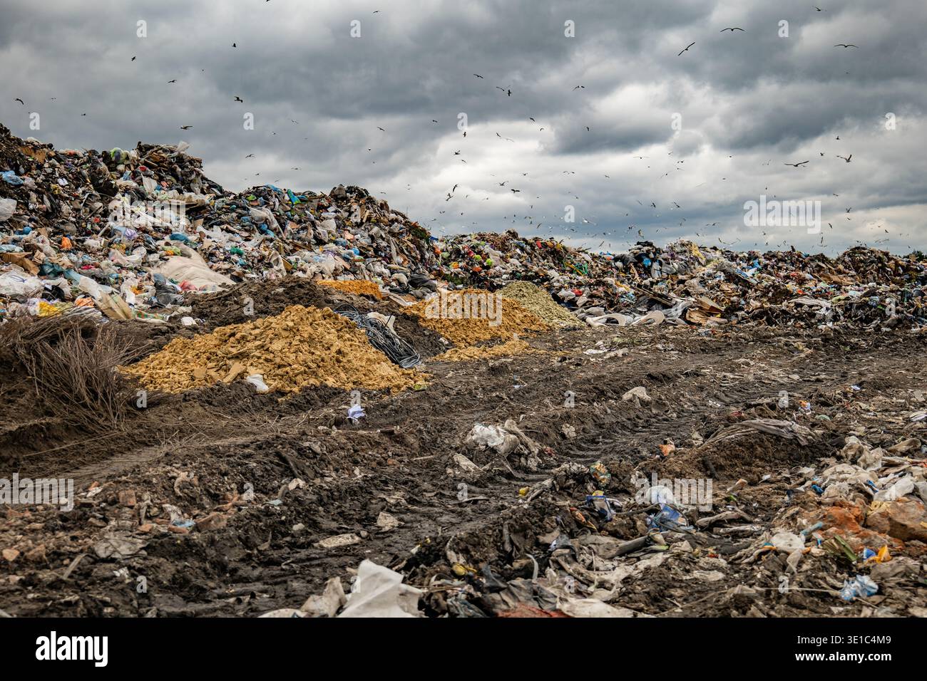 Inquinamento delle discariche che crea crisi ambientali, uccelli che scavano contro un cielo nuvoloso Foto Stock