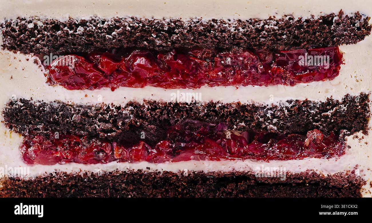 Strati di ricca torta al cioccolato si alternano a vivaci ripieni di ciliegia, creando un dessert invitante. La glassa è liscia, a complemento del dee Foto Stock