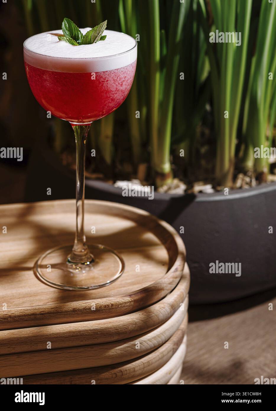 Cocktail rosso con schiuma bianca e foglie di menta, in piedi su un vassoio di legno con sfondo verde Foto Stock