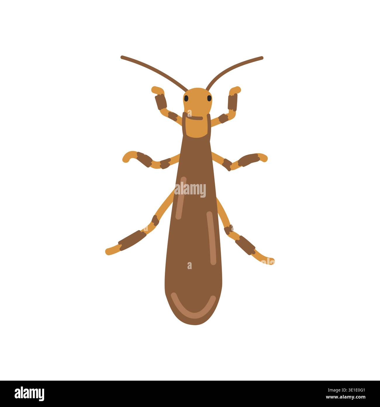 Clipart dei cartoni animati Stonefly. Carino Perlidae illustrazione vettoriale in modo stabile. Animale in stile piatto. Concetto di insetti e antropodi isolati su bianco Illustrazione Vettoriale