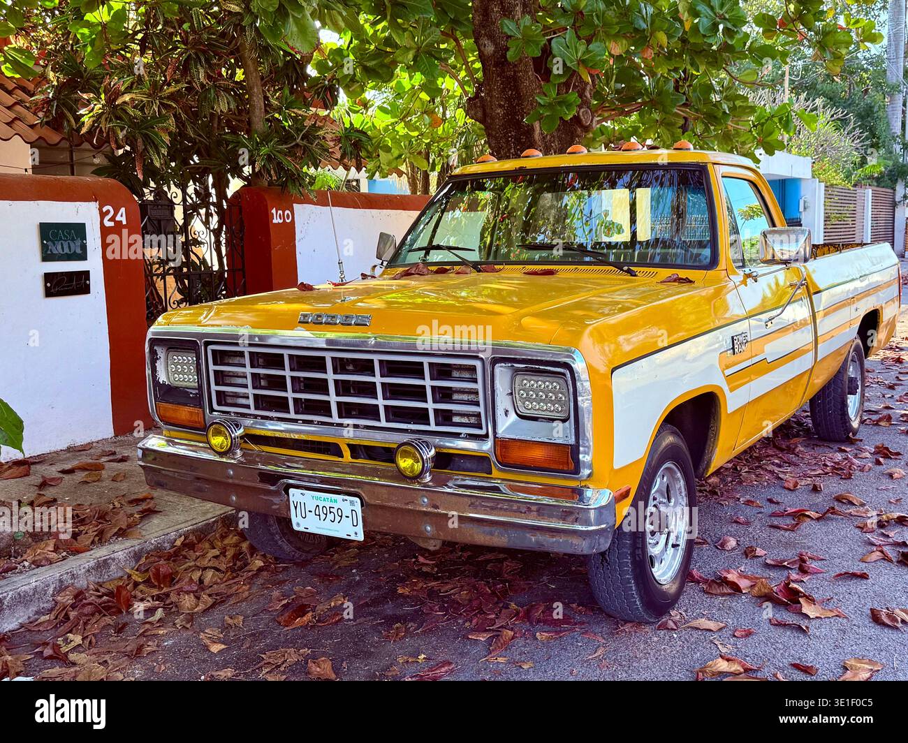Pick-up d'epoca giallo brillante parcheggiato sotto alberi frondosi in una tranquilla strada residenziale a Mérida, Yucatán, Messico. - Immagine stock catturata con smartphone