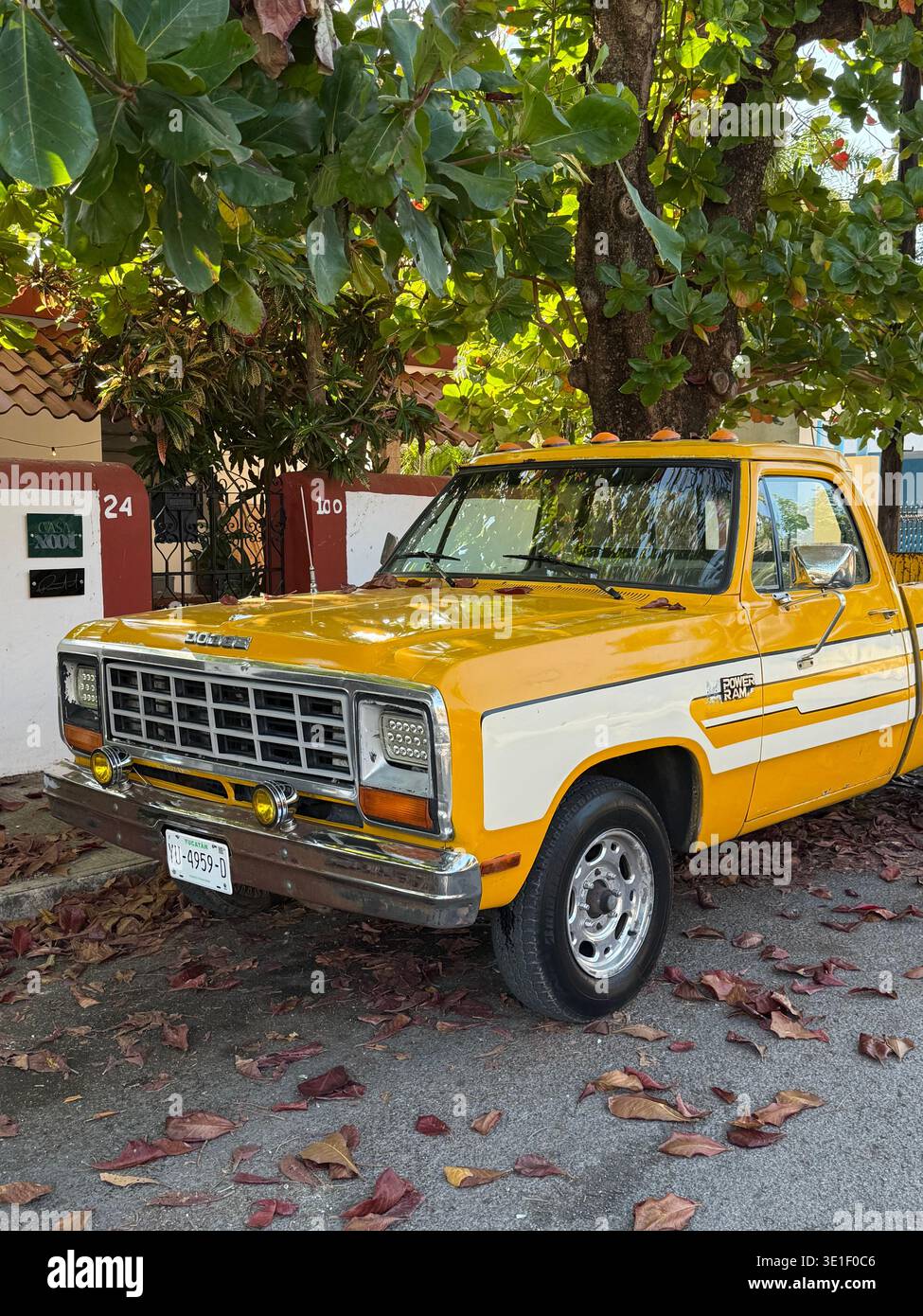 Pick-up d'epoca giallo brillante parcheggiato sotto alberi frondosi in una tranquilla strada residenziale a Mérida, Yucatán, Messico. - Immagine stock catturata con smartphone