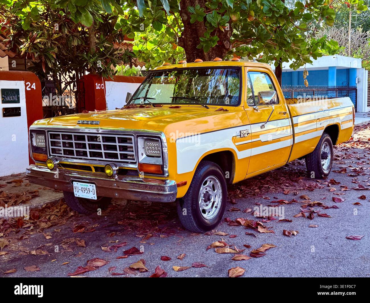 Pick-up giallo d'epoca parcheggiato sotto alberi frondosi in una tranquilla strada residenziale a Garcia Gineres, Mérida, Yucatán, Messico. Foto Stock