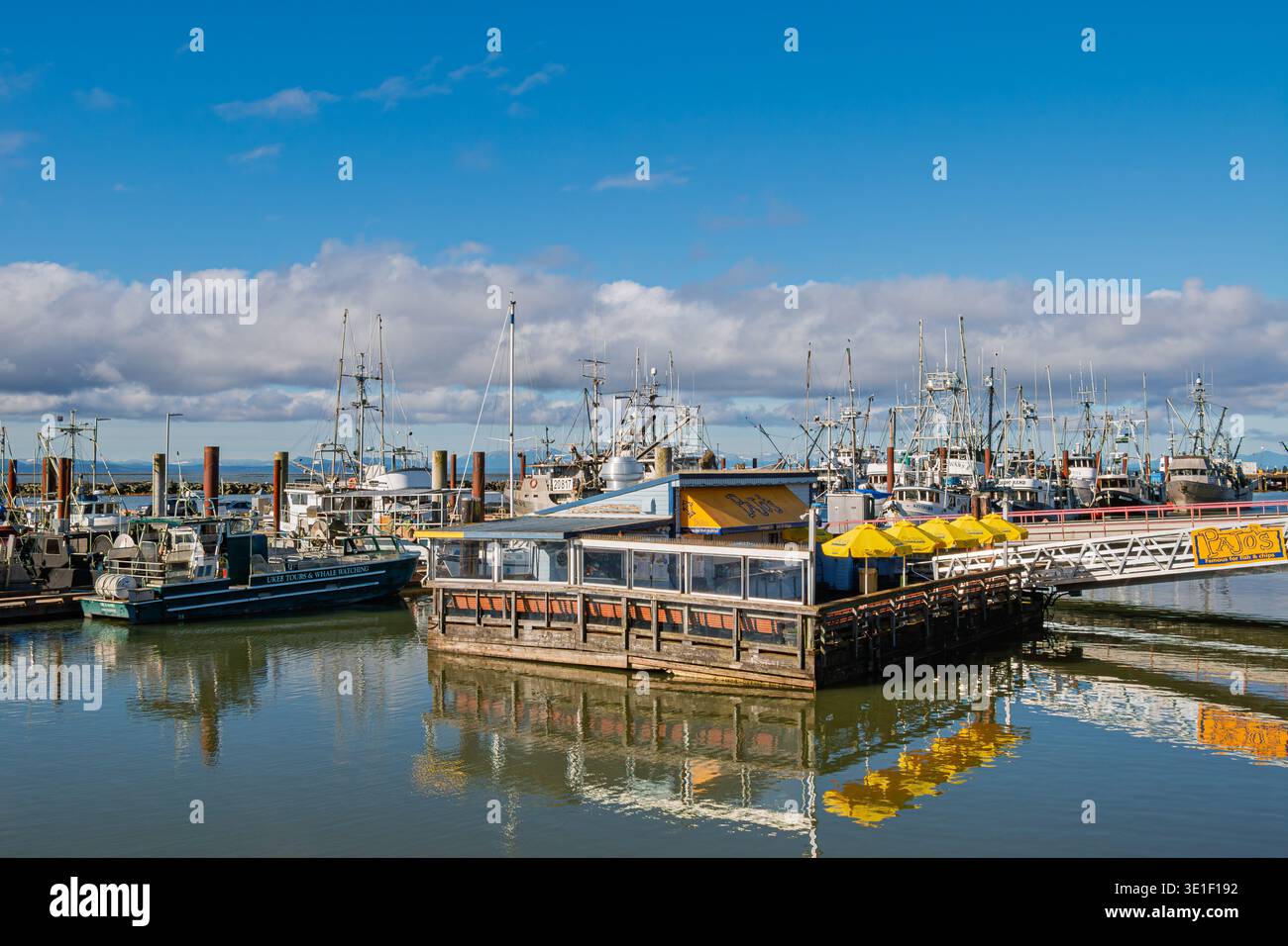 Pajo's Fish & Chips è un ristorante pluripremiato, situato a Steveston Wharf, Richmond, BC, Canada. Foto Stock