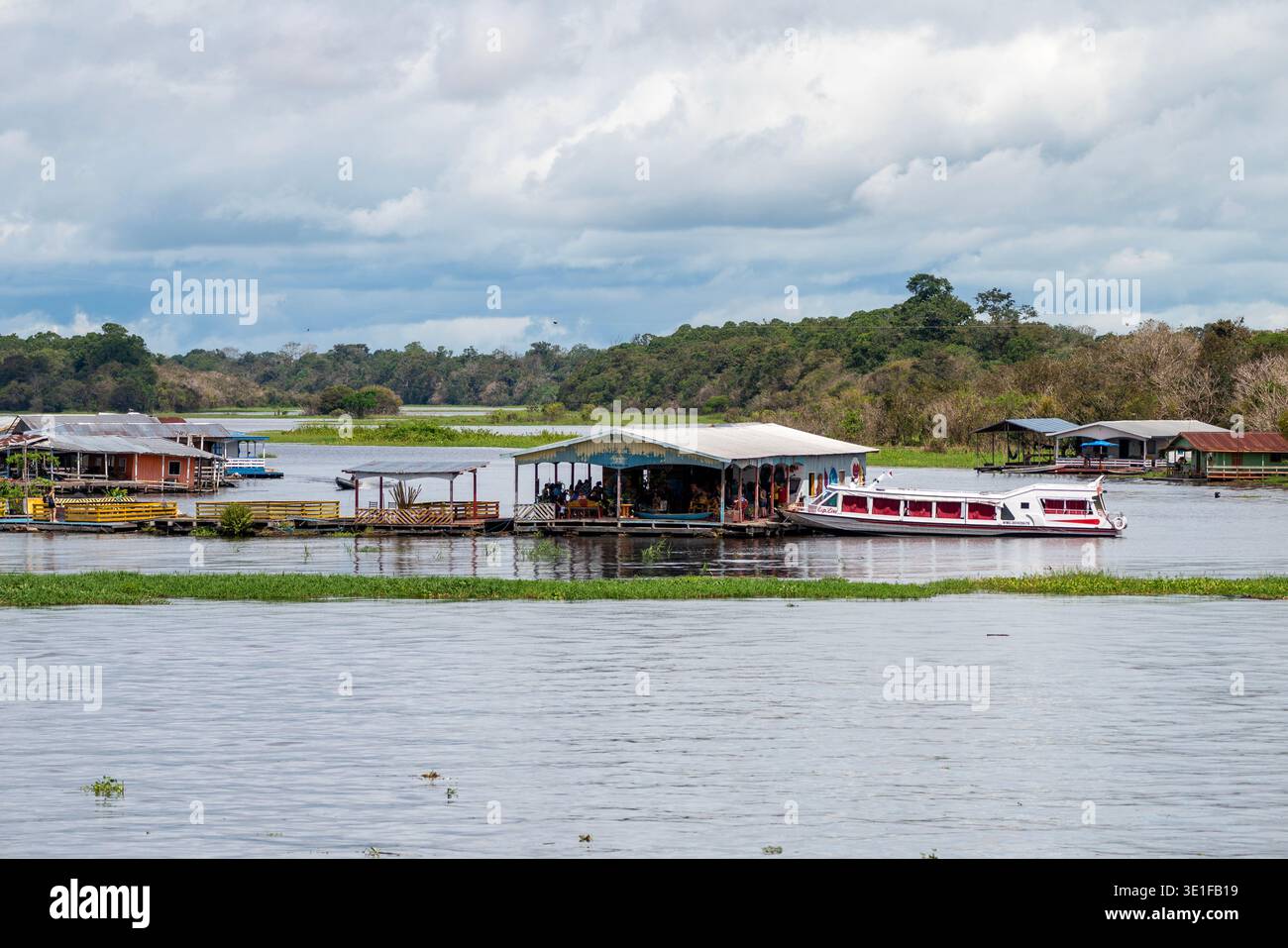 Sud America, Brasile, Amazzonia, foresta pluviale amazzonica, Rio delle Amazzoni, Foto Stock