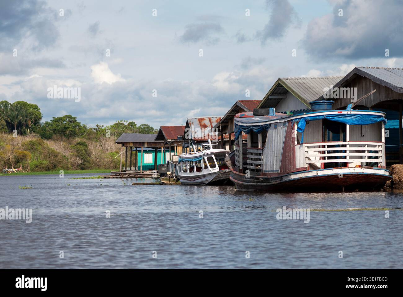 Sud America, Brasile, Amazzonia, foresta pluviale amazzonica, Rio delle Amazzoni, Foto Stock