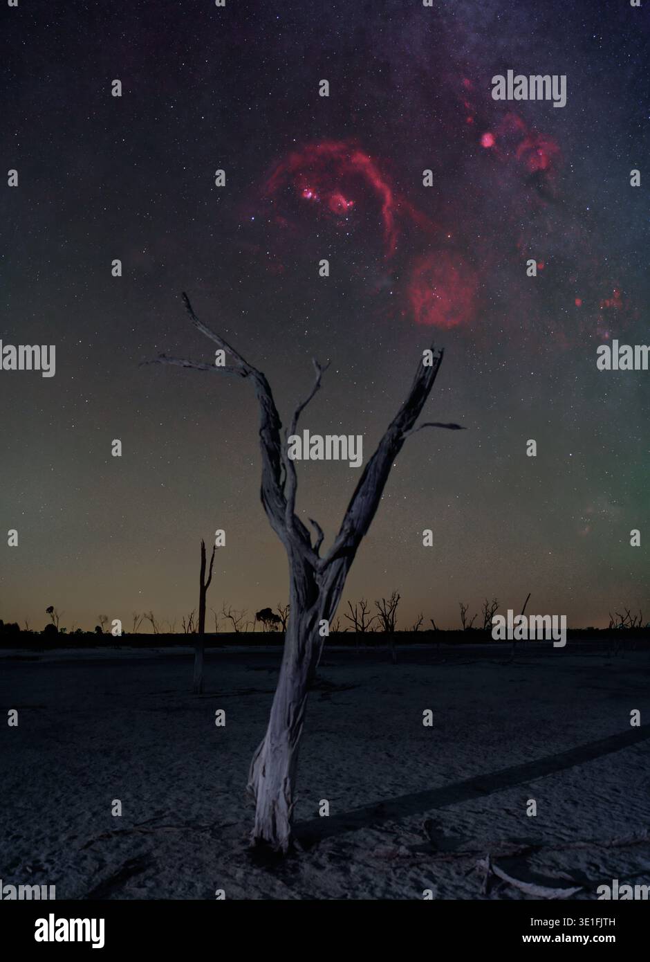 La costellazione di Orion è una regione dello spazio ricca di radiazioni di emissione alfa di idrogeno. Questo può essere visualizzato utilizzando una fotocamera astro modificata. Foto Stock