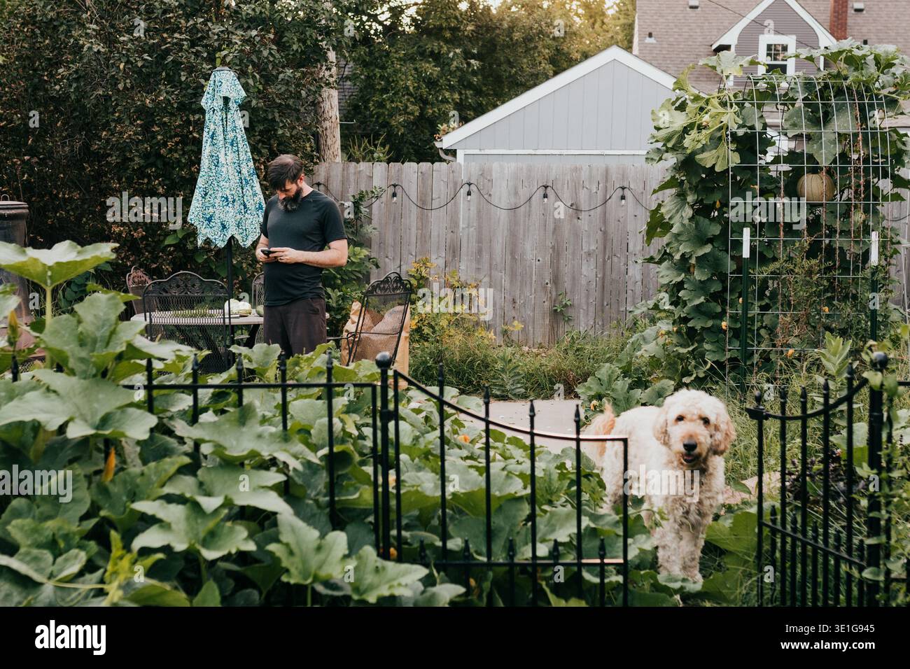 L'uomo usa il cellulare nel giardino del cortile in un giorno d'autunno Foto Stock
