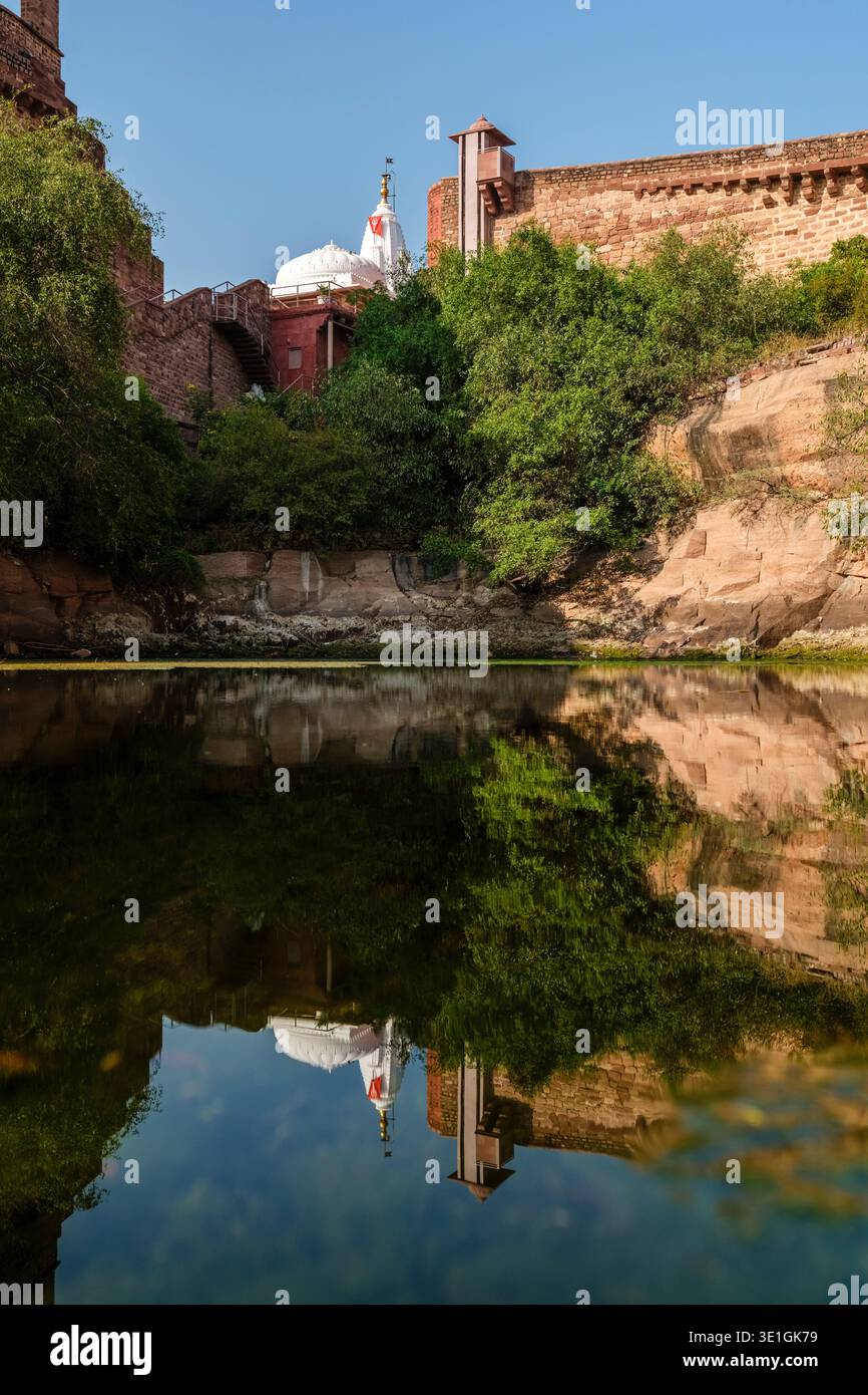 Il bianco tempio Chamunda Mataji a Jodhpur si specchia nell'acqua verde di un bacino di pietra circondato dalle massicce mura del forte Mehrangarh. Foto Stock