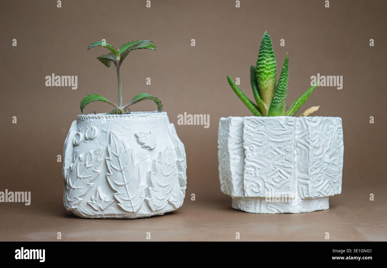 Due vasi di gesso su sfondo marrone. In vasi bianchi, le piante al coperto coltivano calanci e aloe. Piante belle e utili. Foto di alta qualità Foto Stock