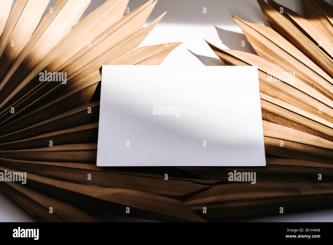 Mockup bianco bianco per biglietti da visita su palme asciutte con una calda luce naturale. Modello di branding minimo con spazio di testo per logo e identità Foto Stock