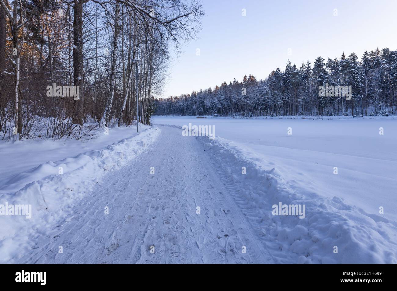 Strada rurale invernale innevata con foresta e gelo Foto Stock
