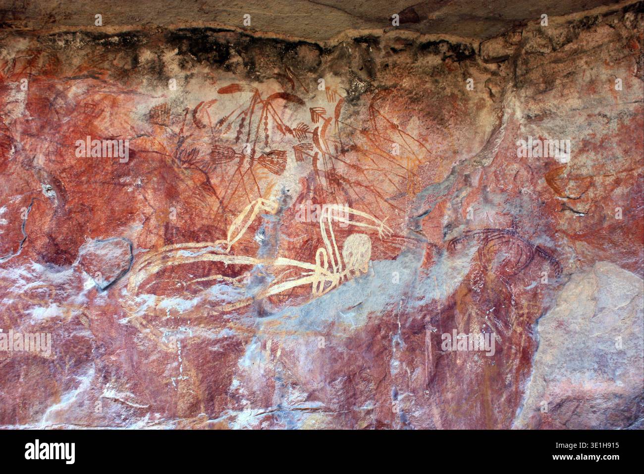 Questa antica arte rupestre, probabilmente risalente a migliaia di anni fa (prima del 1500), raffigura varie figure, tra cui umani e animali simili a bastoni, possibilmente con boomerang o lance da pesca. Il dettagliato dipinto della grotta, realizzato utilizzando pigmenti naturali su una parete di roccia, fornisce una finestra sulle tradizioni artistiche e spirituali delle culture indigene australiane. Foto Stock