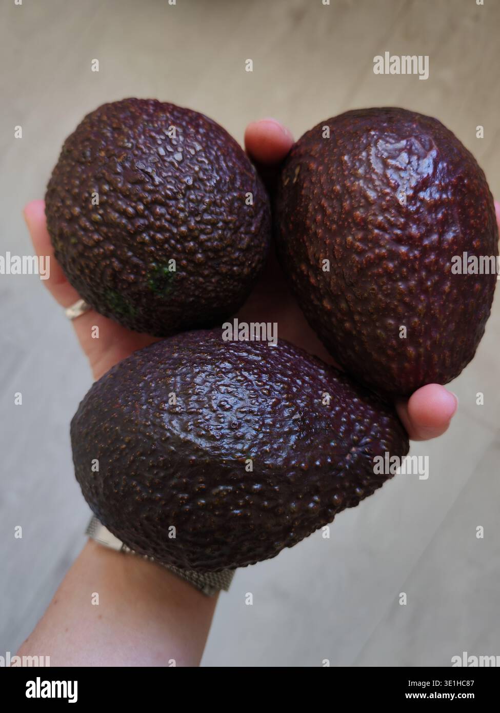 Tre primi piani di avocado maturo di Borgogna sulla mano di una donna Foto Stock