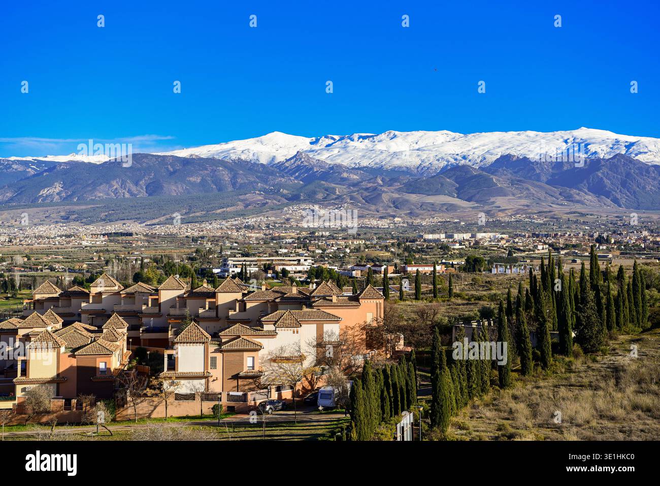 Catena montuosa innevata della Sierra Nevada vista dalla città di Las Gabias vicino a Granada, Andalusia, Spagna meridionale. Foto Stock