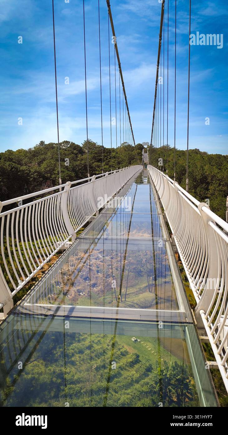Pavimento del ponte sospeso in vetro con foresta sottostante e cielo sopra Cau Kinh da Lat Vietnam Foto Stock