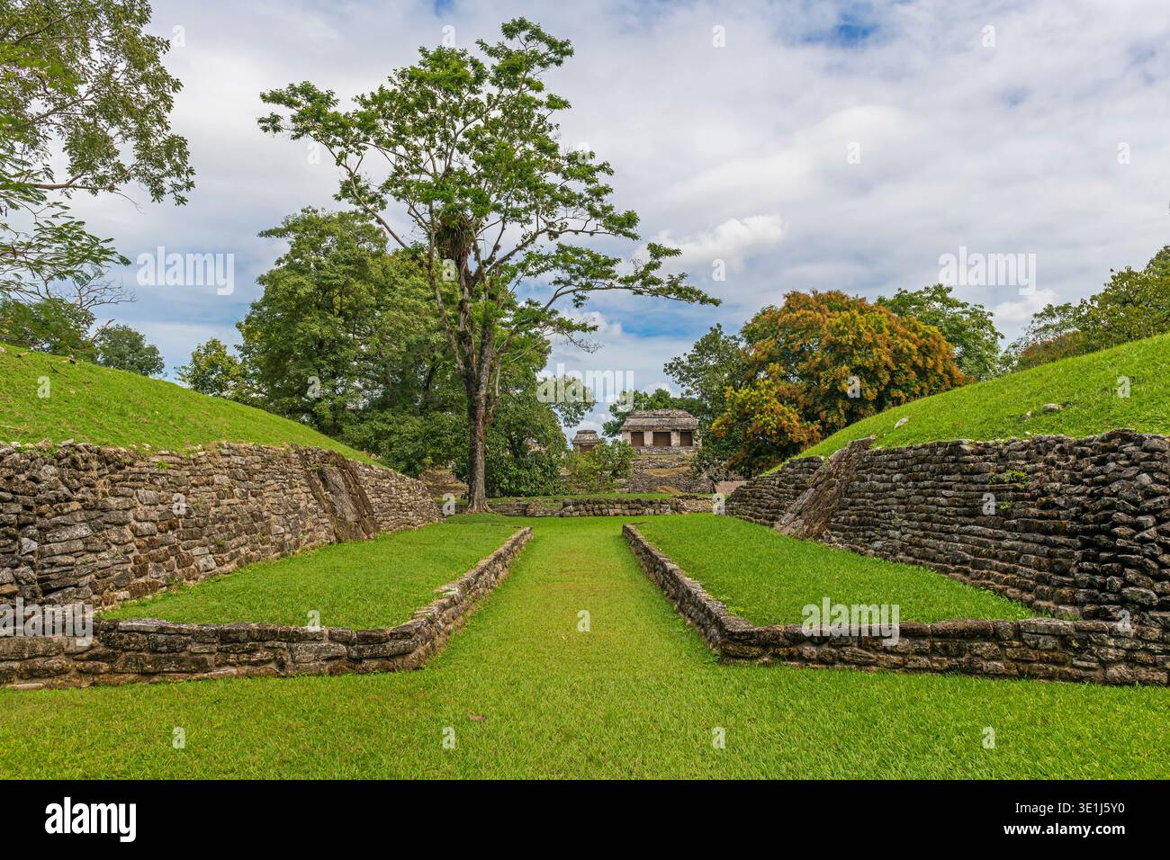 Campo da gioco della palla maya, Palenque, Chiapas, Messico. Foto Stock