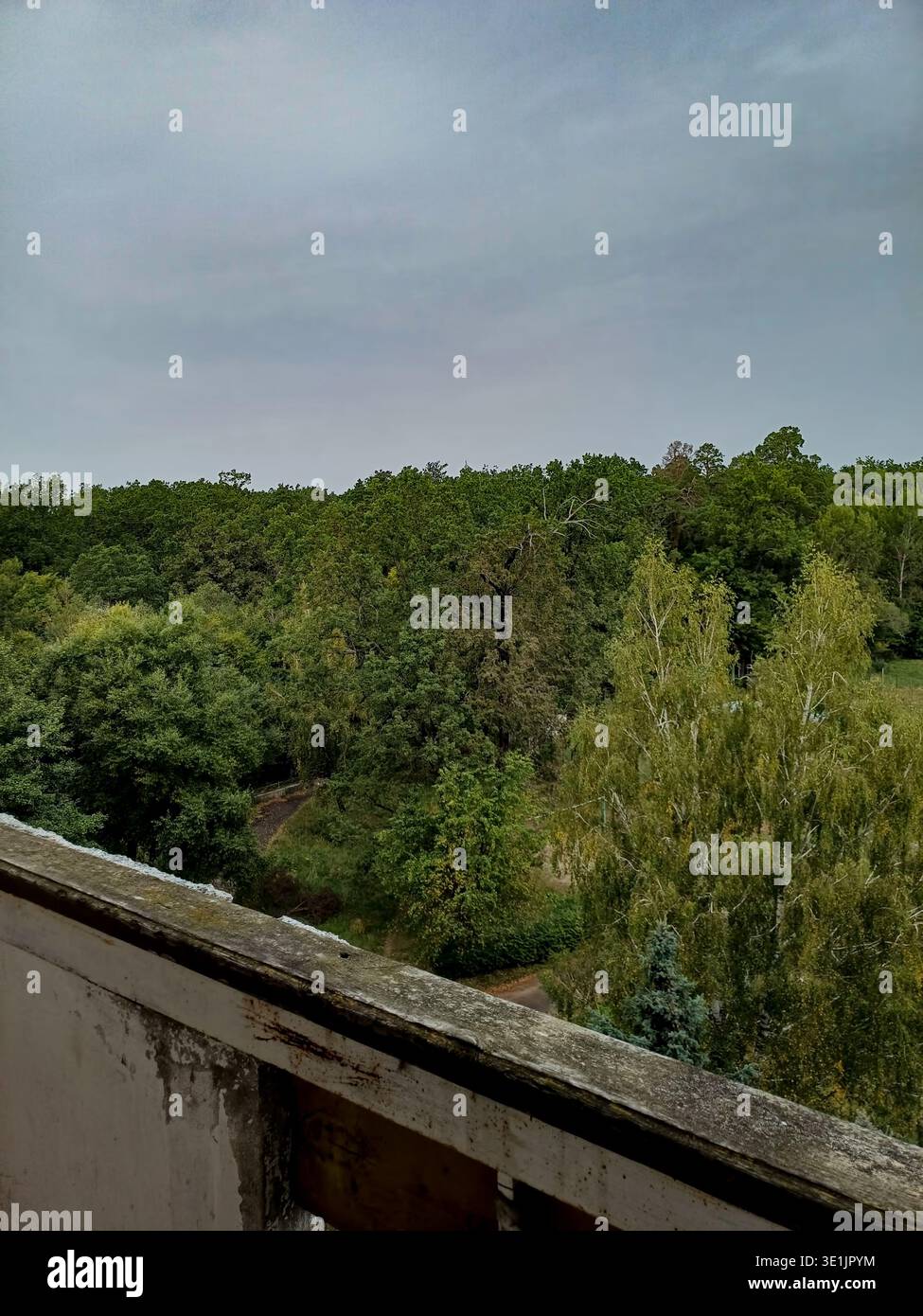 Ringhiera del balcone decaduta in primo piano, marcio e sbriciolato. Sotto si estende una foresta verde sotto un cielo coperto grigio. L'umore di abbandono e iso Foto Stock