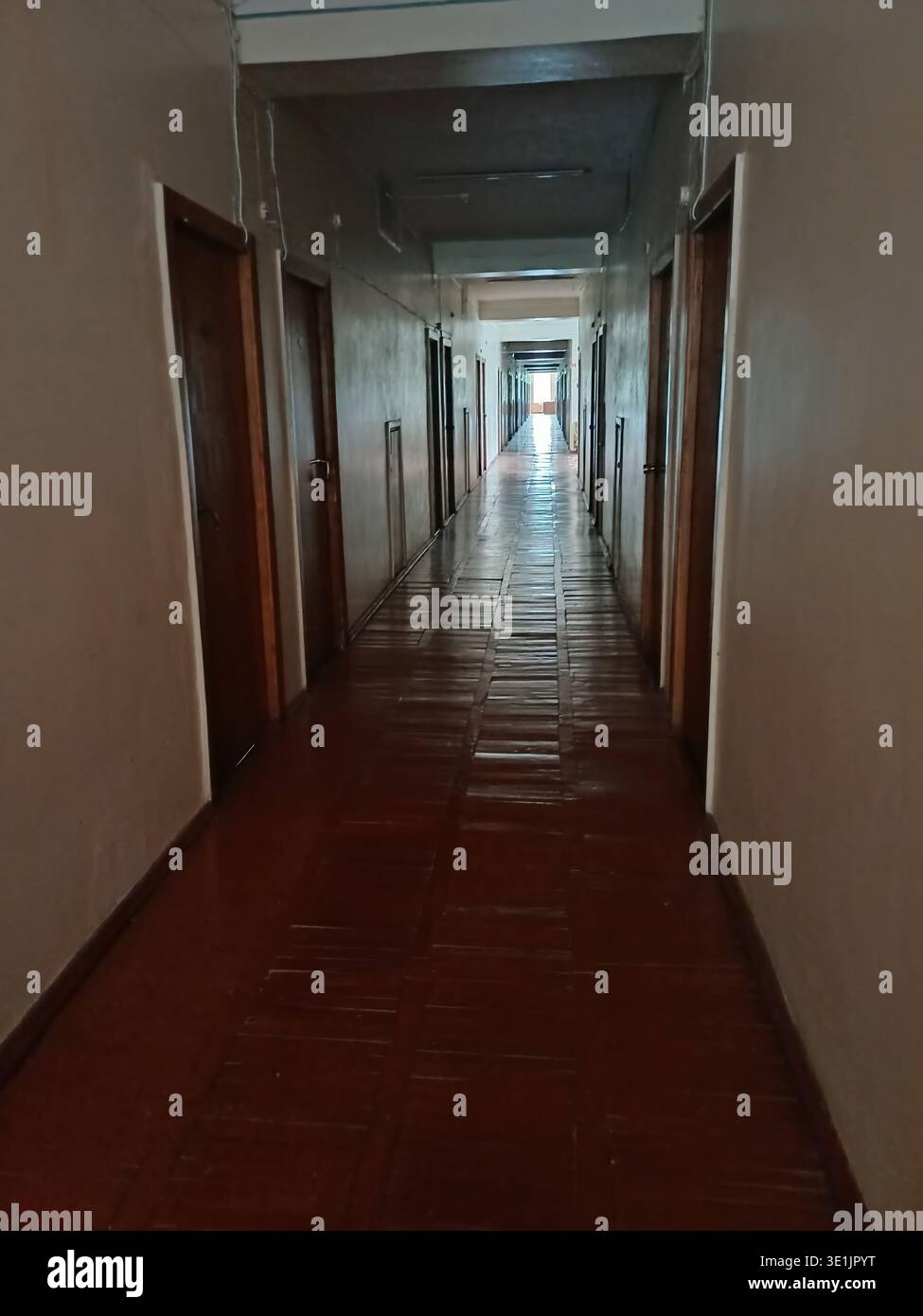 Un lungo corridoio che conduce alla luce. Pavimento in parquet dipinto di rosso scuro, pareti beige e porte dello stesso colore del pavimento su entrambi i lati. Sligh Foto Stock