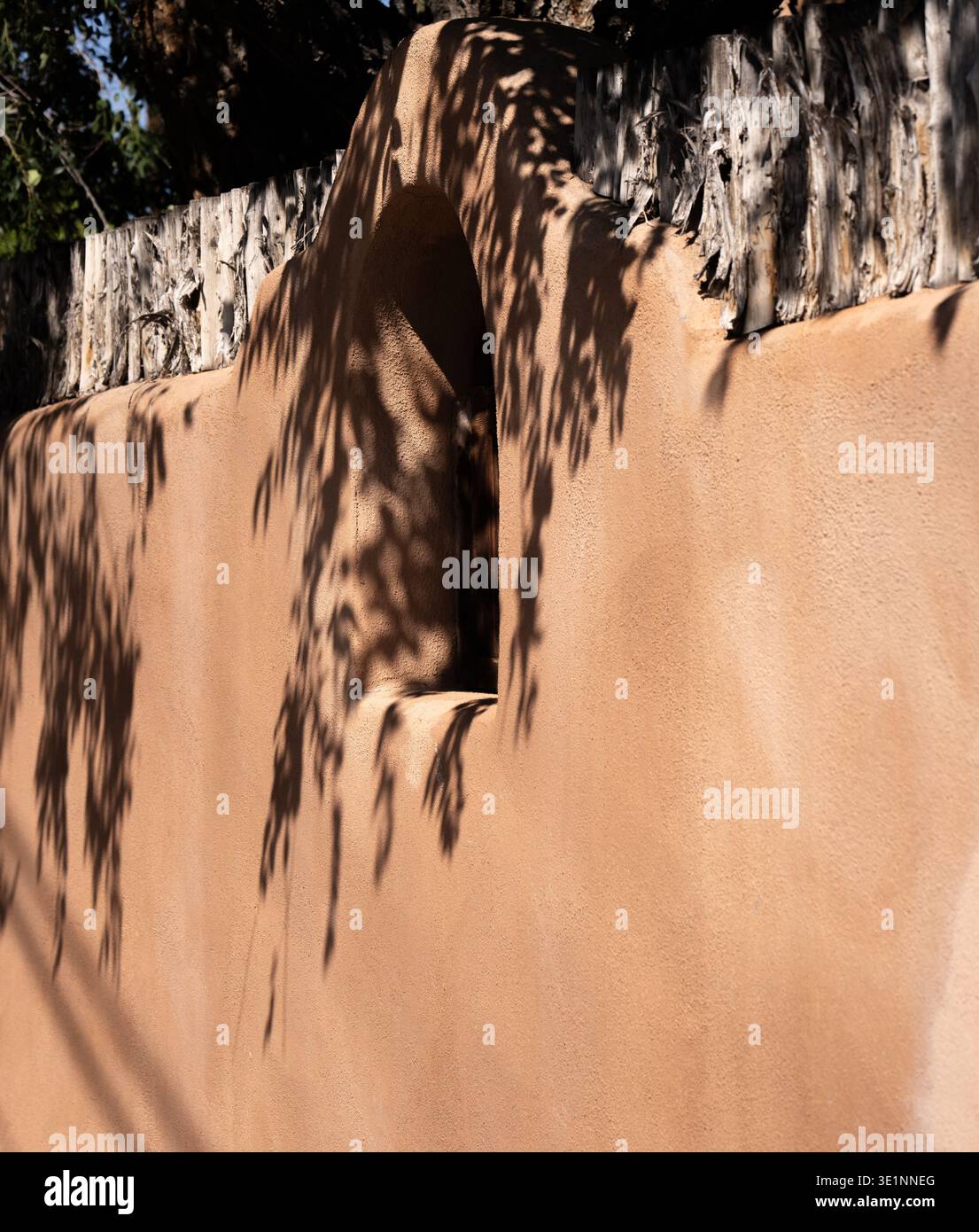 ombre proiettate sulla parete esterna della casa in stile adobe ombre drappeggiate intorno alla finestra della casa in adobe che avvolgono ombre di foglie di alberi e rami intorno Foto Stock