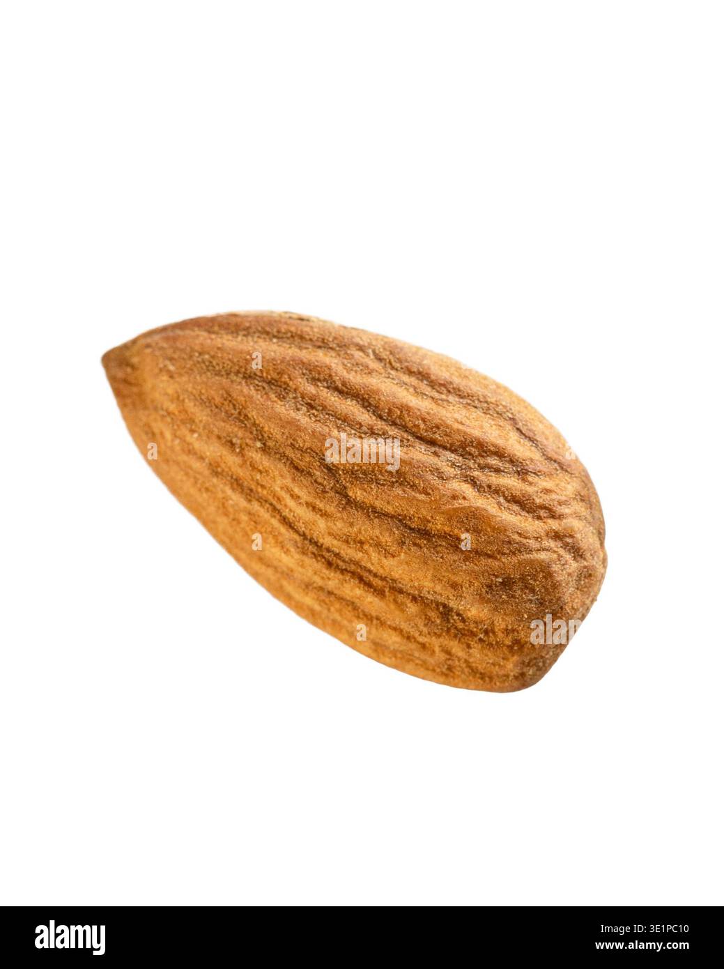 Singola noce di mandorla isolata su uno sfondo bianco, fotografata in uno stile da studio pulito. Questo sano frutto secco organico è ampiamente usato negli spuntini. Foto Stock
