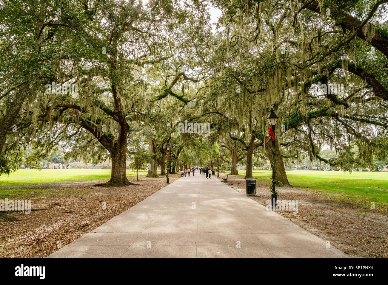 Savannah, GA, 28 dicembre 2023: Vista su un vicolo panoramico di Forsyth Park nel quartiere storico di Savannah, Georgia Foto Stock