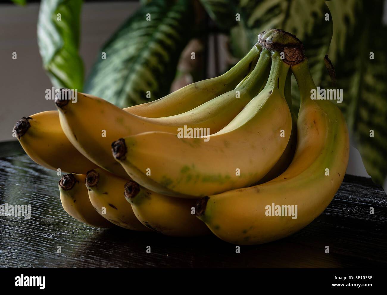 Un'immagine di natura morta con un mucchio di banane. Foto Stock