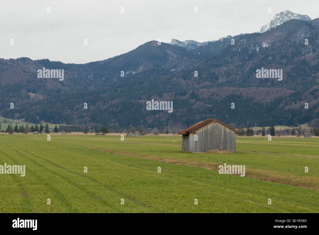 Un solitario fienile di legno in un prato aperto con montagne alpine sullo sfondo, catturato nella tranquilla campagna della Baviera, in Germania. Foto Stock