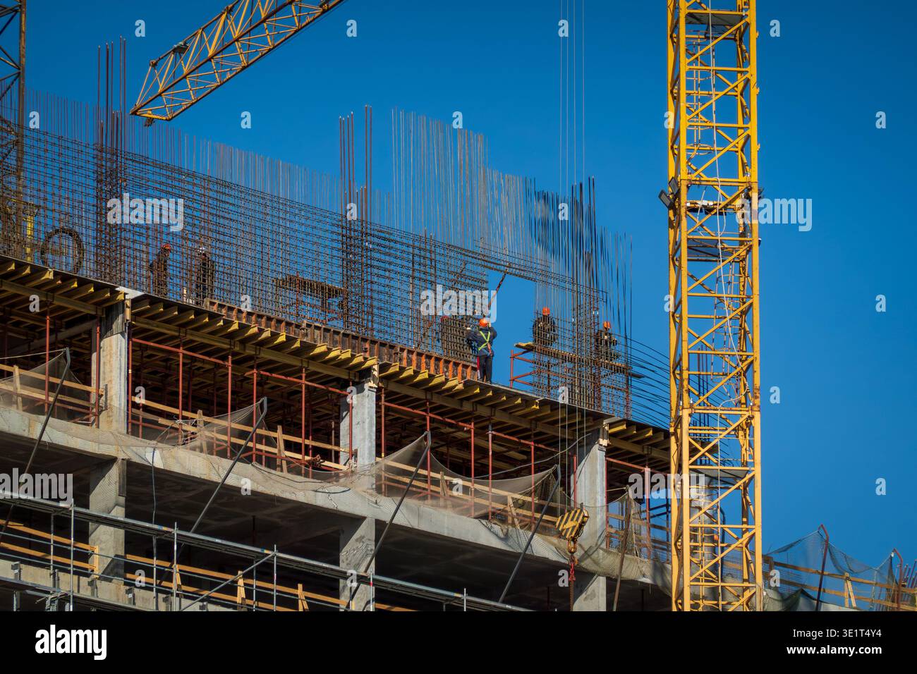Operai edili che costruiscono strutture in cemento con gru a torre, armature in acciaio, ponteggi, attrezzatura di sicurezza e cielo azzurro. Foto Stock